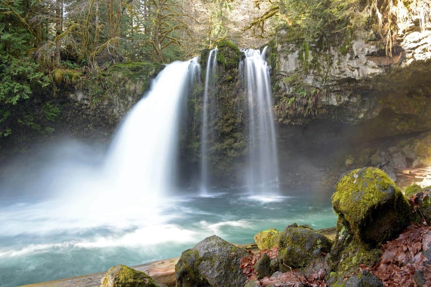 Merrill Lake Wildlife Area Unit | Washington Department of Fish & Wildlife